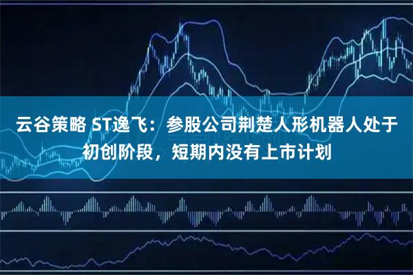 云谷策略 ST逸飞：参股公司荆楚人形机器人处于初创阶段，短期内没有上市计划