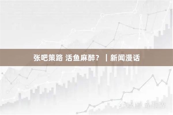 张吧策路 活鱼麻醉?|新闻漫话