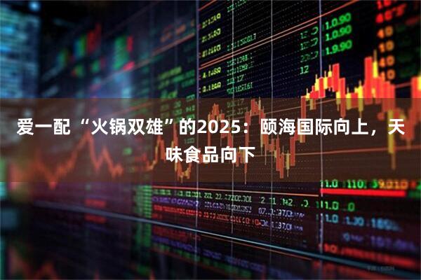 爱一配 “火锅双雄”的2025:颐海国际向上,天味食品向下